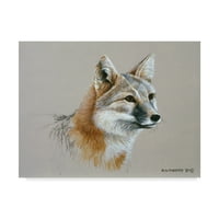 Zaštitni znak likovne umjetnosti 'Swift Fox' platno umjetnost Ron Parker