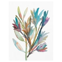 Umjetnička galerija remek -djela Rainbow Wish Crop Šareno botaničko od Erin Lin Canvas Art Print