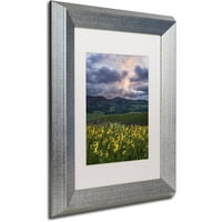 Zaštitni znak likovna umjetnost buđenje platna umjetnost Michaela Blanchette Photography White Matte, Silver Frame