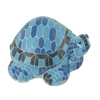 Prekrasna plava kornjača