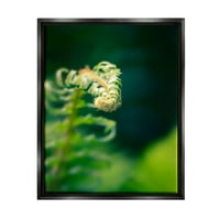 Stupell Fern napušta prirodu fotografije Botanička i cvjetna fotografija crni plutasti uokvireni umjetnički print