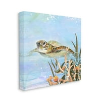 Stupell Industries podvodne morske kornjače za plivanje grafičke umjetničke galerije zamotana platna za tisak