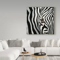 Zaštitni znak likovna umjetnost 'zebra lice' platno umjetnost Cherie Roe Dirksen