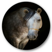 Designart 'Izbliza portret bijelog konja' Farmhouse Circle Metal Wall Art - Disk od 11