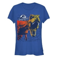 Grafički T-Shirt: kraljevski plavi Plus Size